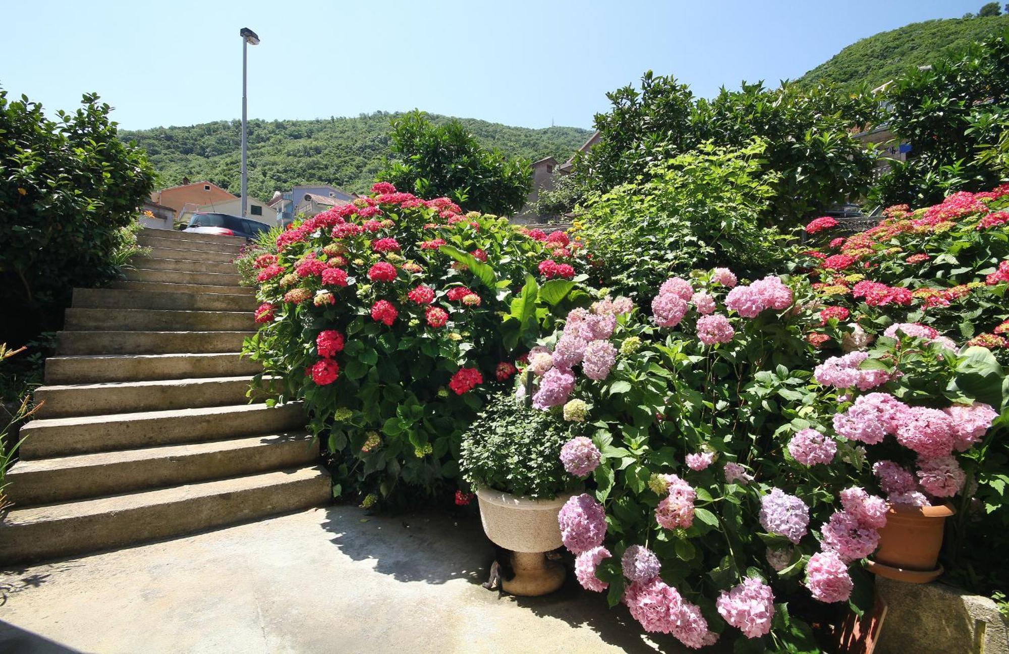 Apartments Raicevic Budva Ngoại thất bức ảnh